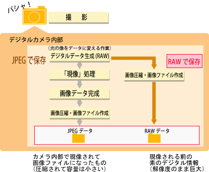 ＲＡＷ現像